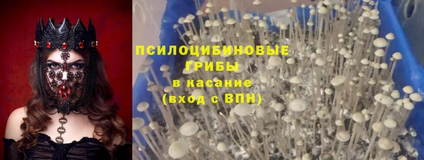 герыч Аркадак