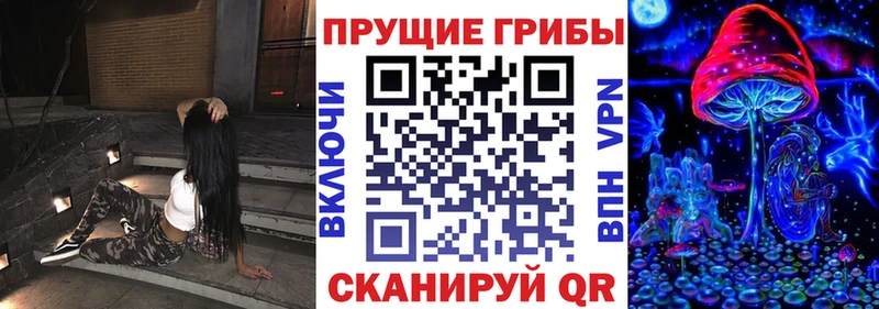 Псилоцибиновые грибы Psilocybe  Ирбит 
